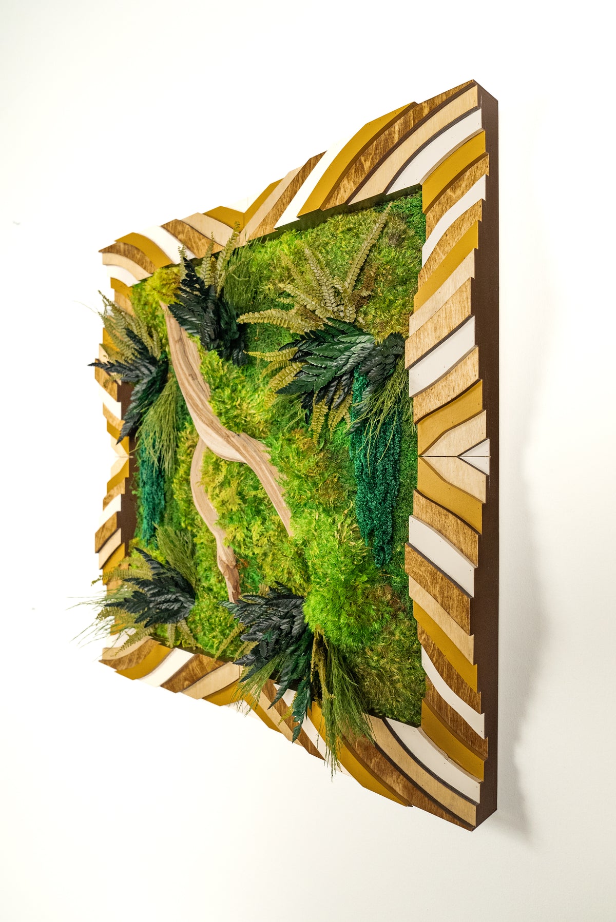 Topography & moss