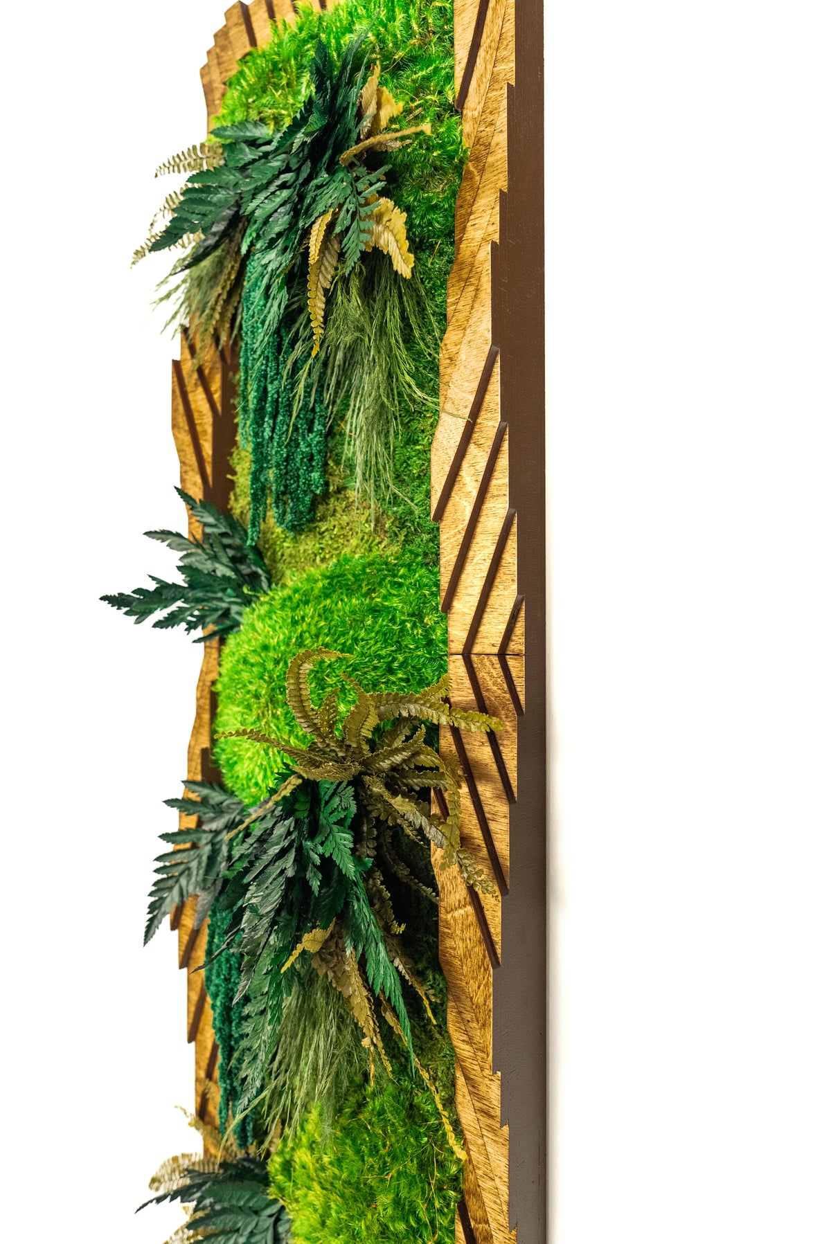 Topography & moss