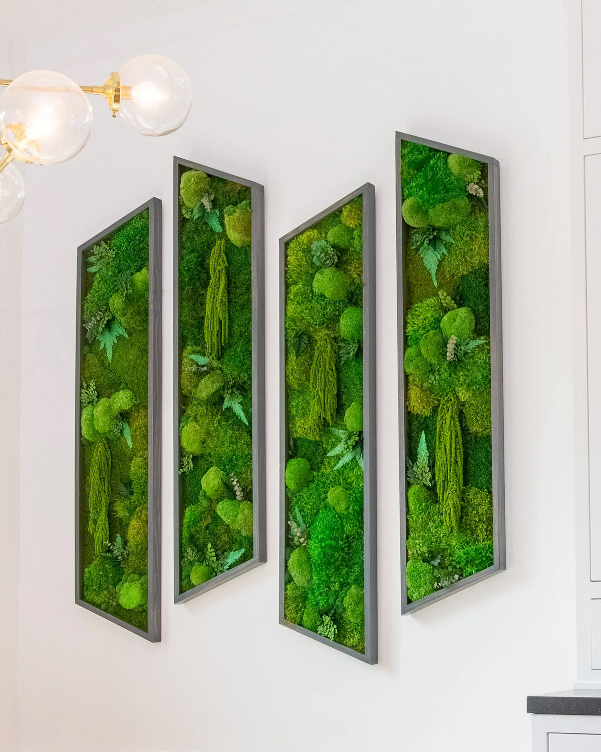 Row of framed preserved moss panels along a white wall in Ariana Madix's home
