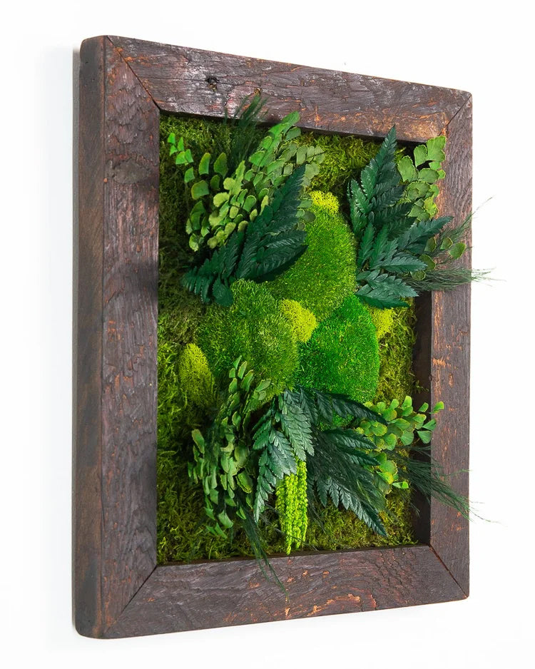Rectangular preserved moss art in a dark reclaimed wood frame with mounded moss and layered ferns