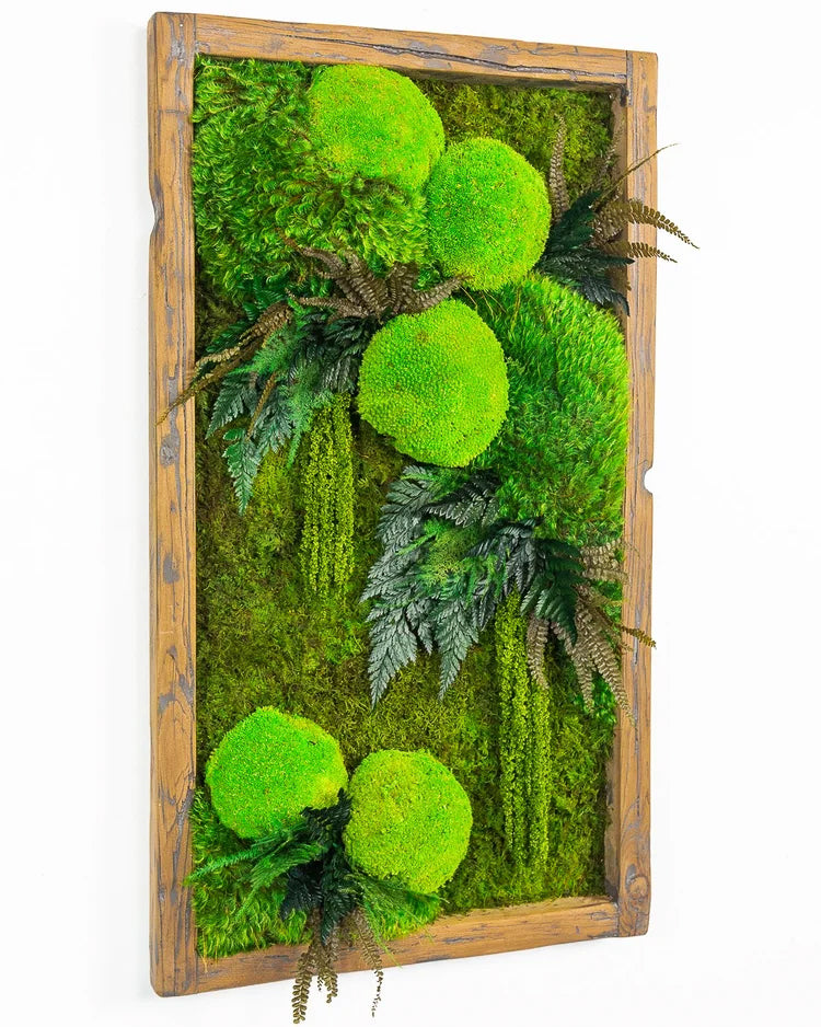 Preserved moss art with large moss mounds, ferns and trailing amaranthus in a rustic wood frame