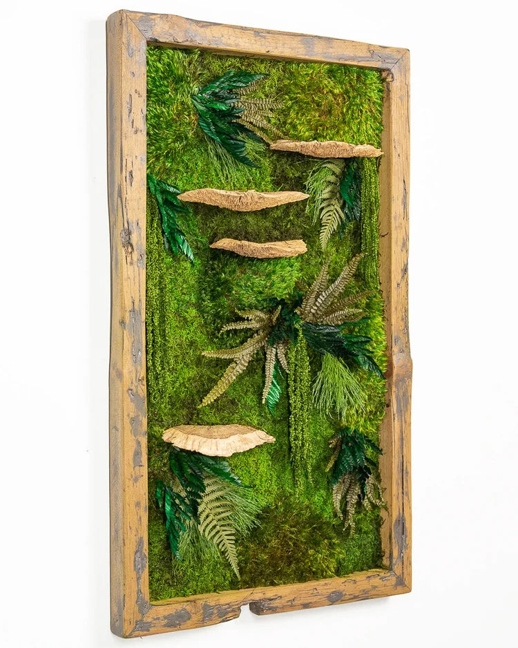 Preserved moss art with layered ferns and pale bracket fungi in a weathered wood frame