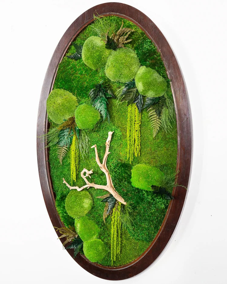 Oval preserved moss art in a dark wood frame with a pale driftwood branch and moss mounds