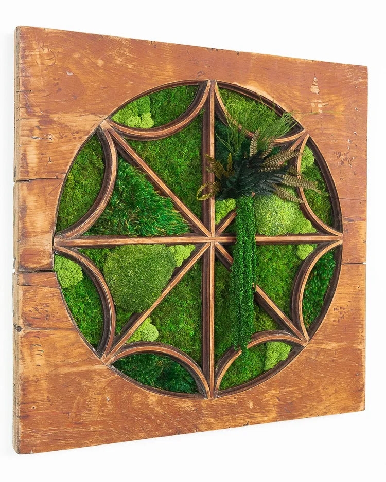 Preserved moss art set in a round carved wood medallion on a reclaimed plank panel