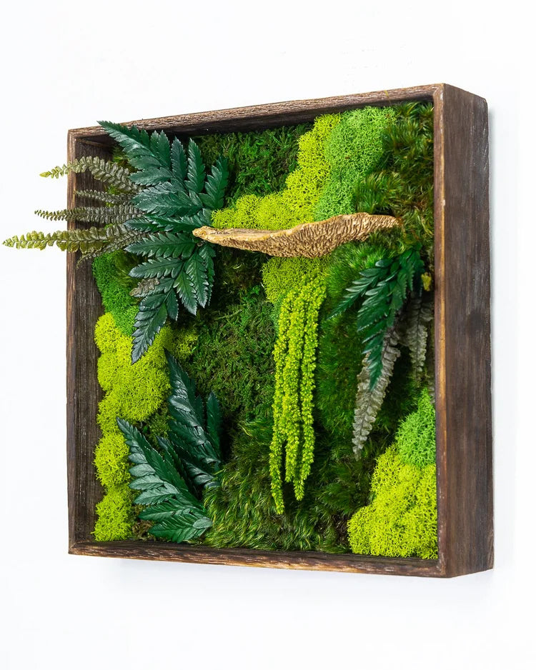 Square preserved moss art in a deep wood box frame with ferns and trailing amaranthus