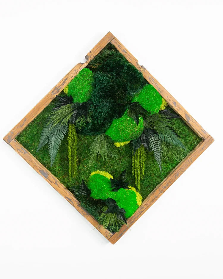 Square preserved moss art hung on point, with mounded moss balls and ferns in a wood frame