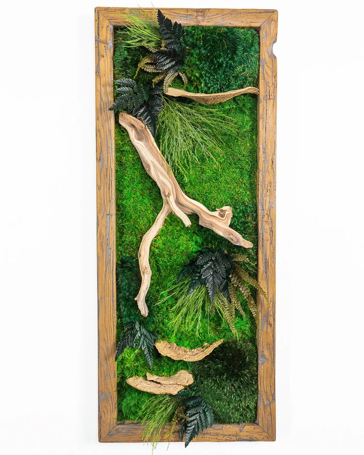Tall narrow preserved moss art with a pale driftwood branch and ferns in a rustic wood frame