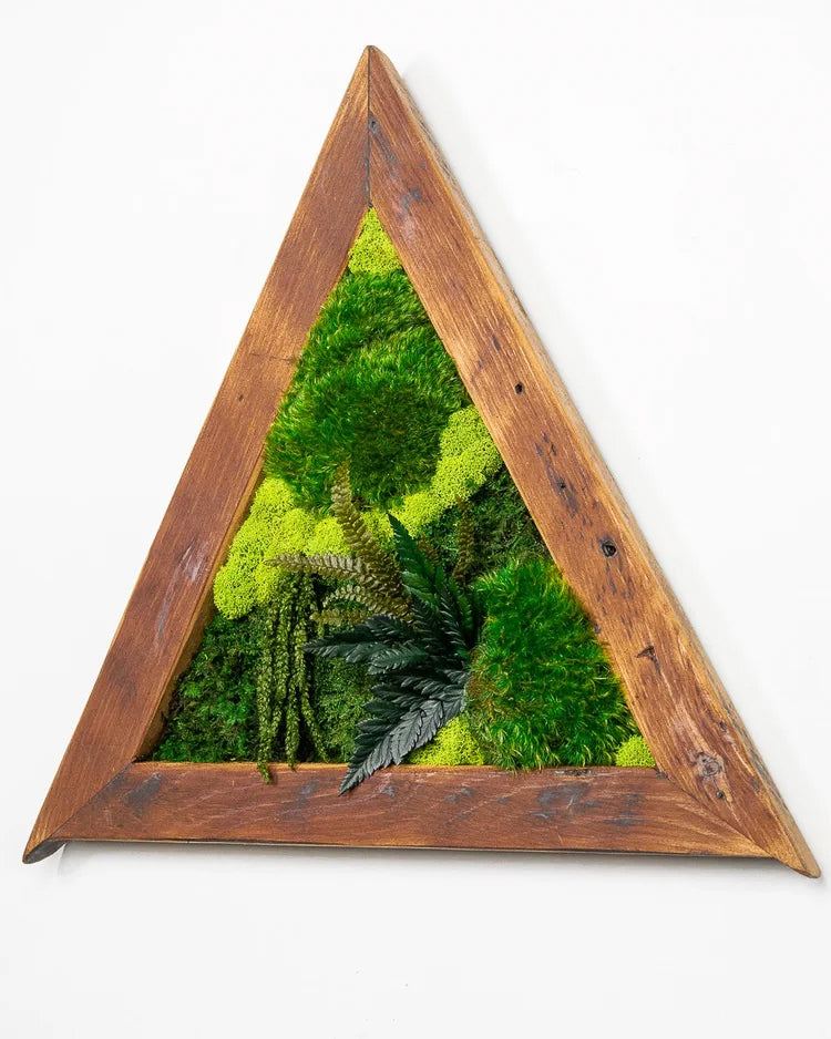 Triangular preserved moss art in a reclaimed wood frame with pale green moss and dark ferns