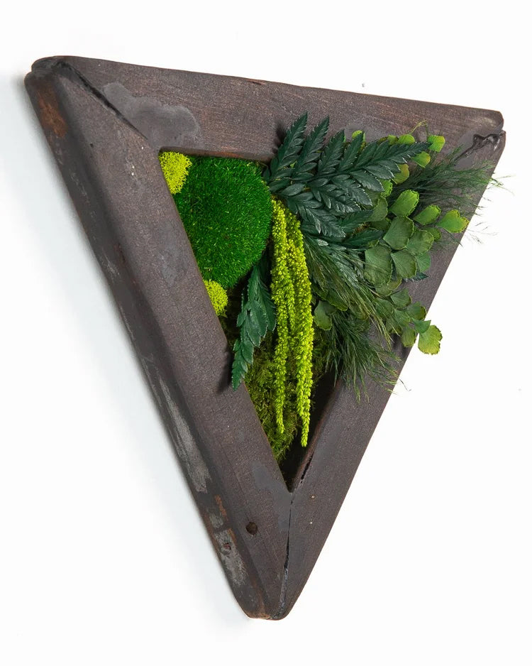 Triangular preserved moss art in a weathered wood frame with ferns and hanging amaranthus