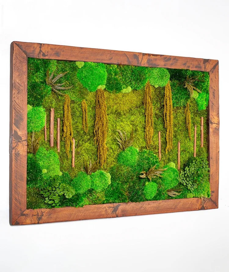 Wide preserved moss forest scene with tall grasses and birch trunks in a reclaimed wood frame
