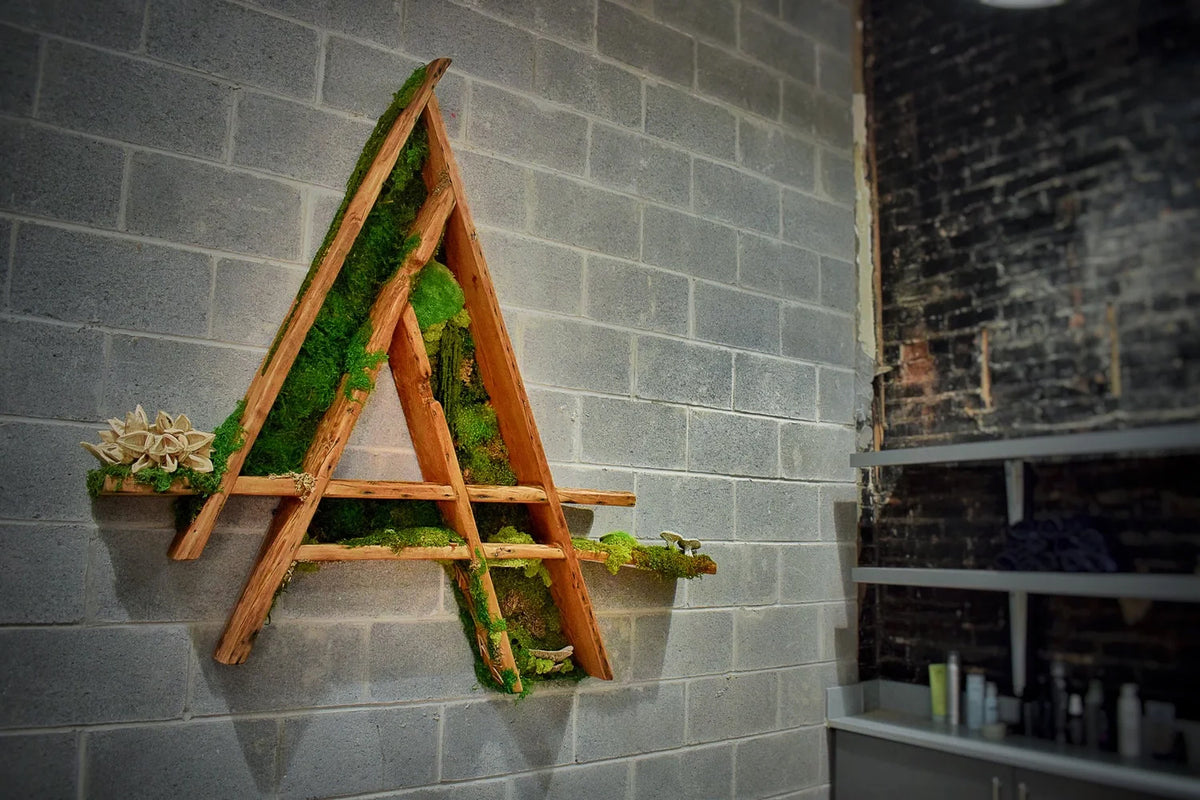 Letter A built from wood and preserved moss mounted on a grey block wall in a retail space