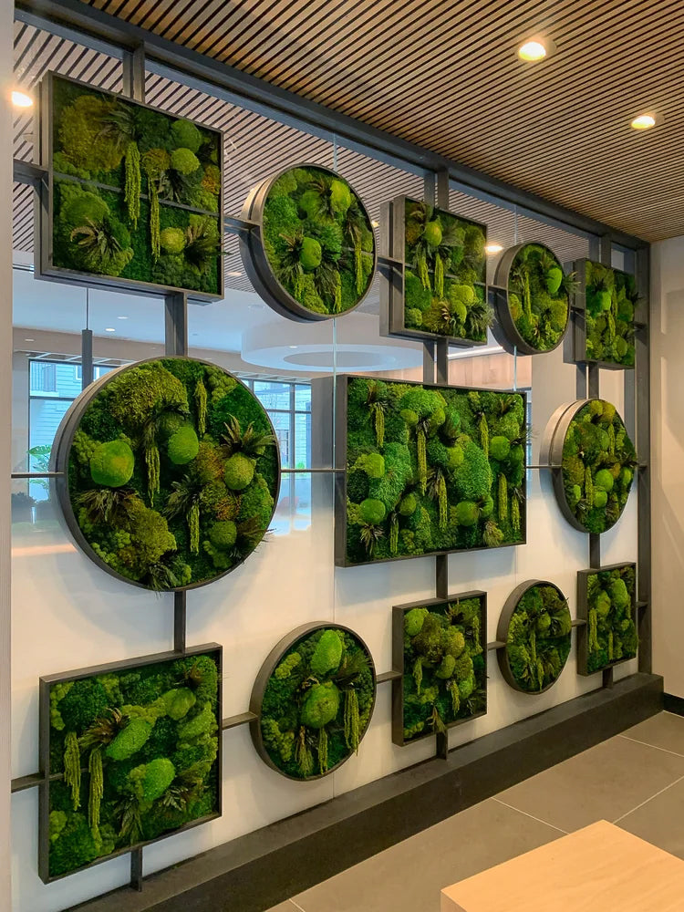 Lobby wall of square and round framed moss panels under a wood slat ceiling