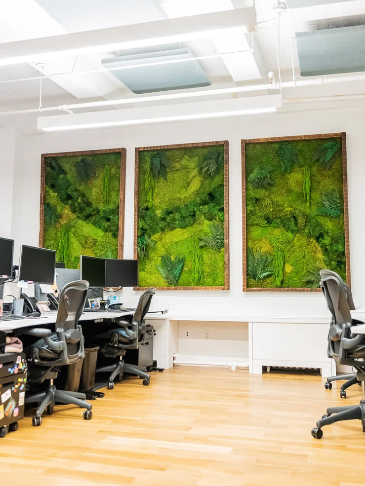 Three large gold framed moss panels on an office wall above a row of desks and monitors