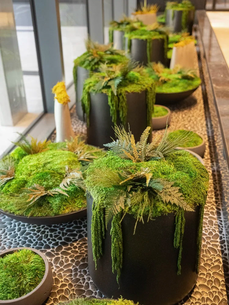 Row of dark cylindrical planters topped with preserved moss and ferns along a pebble channel by a window