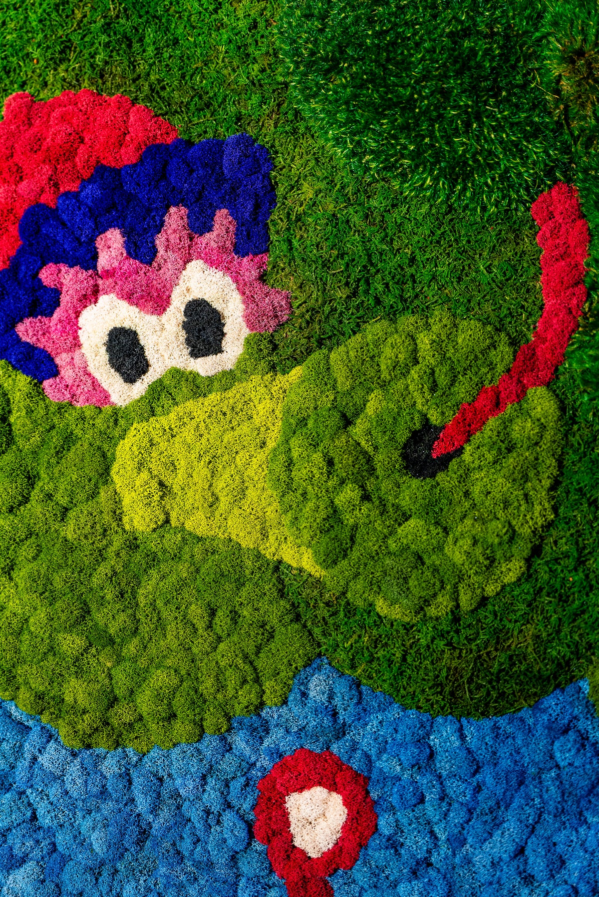 Close up of the Phillie Phanatic moss portrait showing the face in pink, blue and green moss