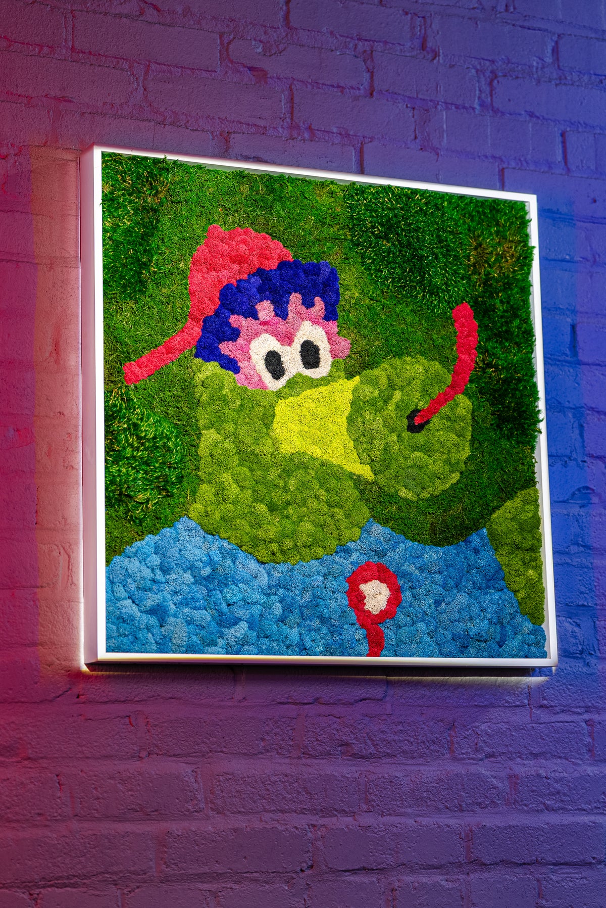 Preserved moss portrait of the Phillie Phanatic in a white frame on a purple lit brick wall