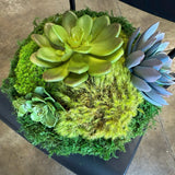 Succulent Pot 1, angled view