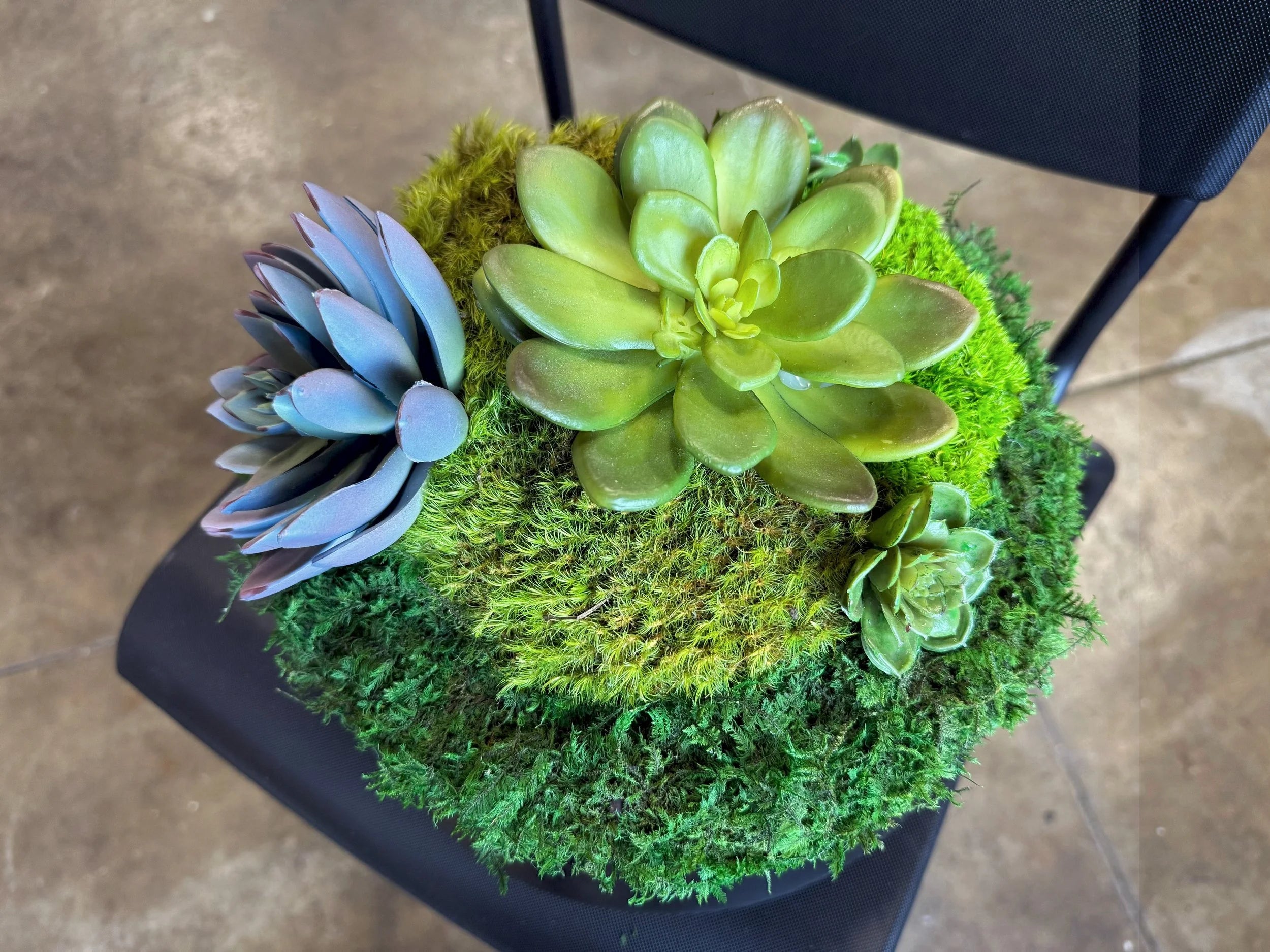Succulent Pot 1, close detail