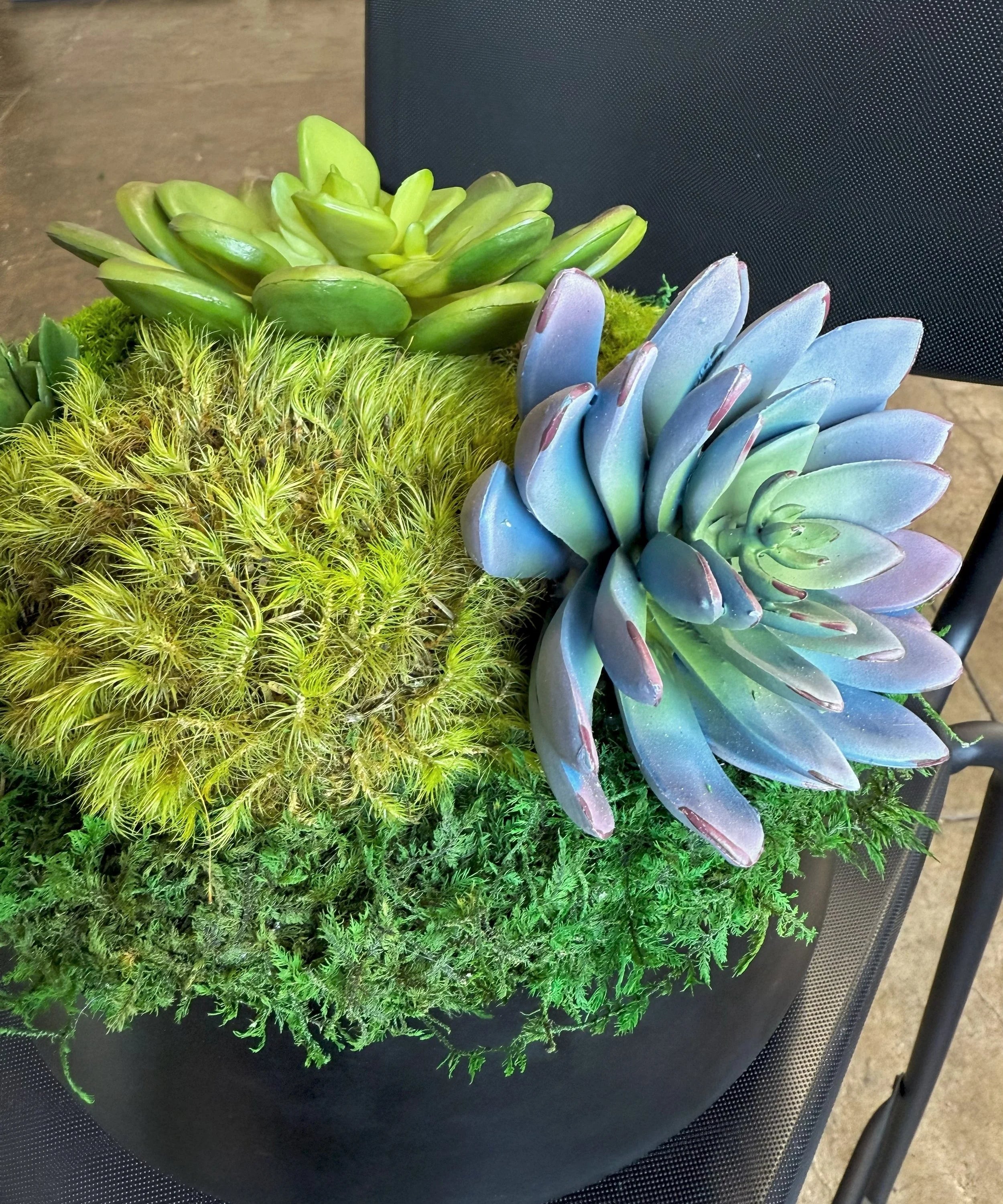Succulent Pot 1, detail view