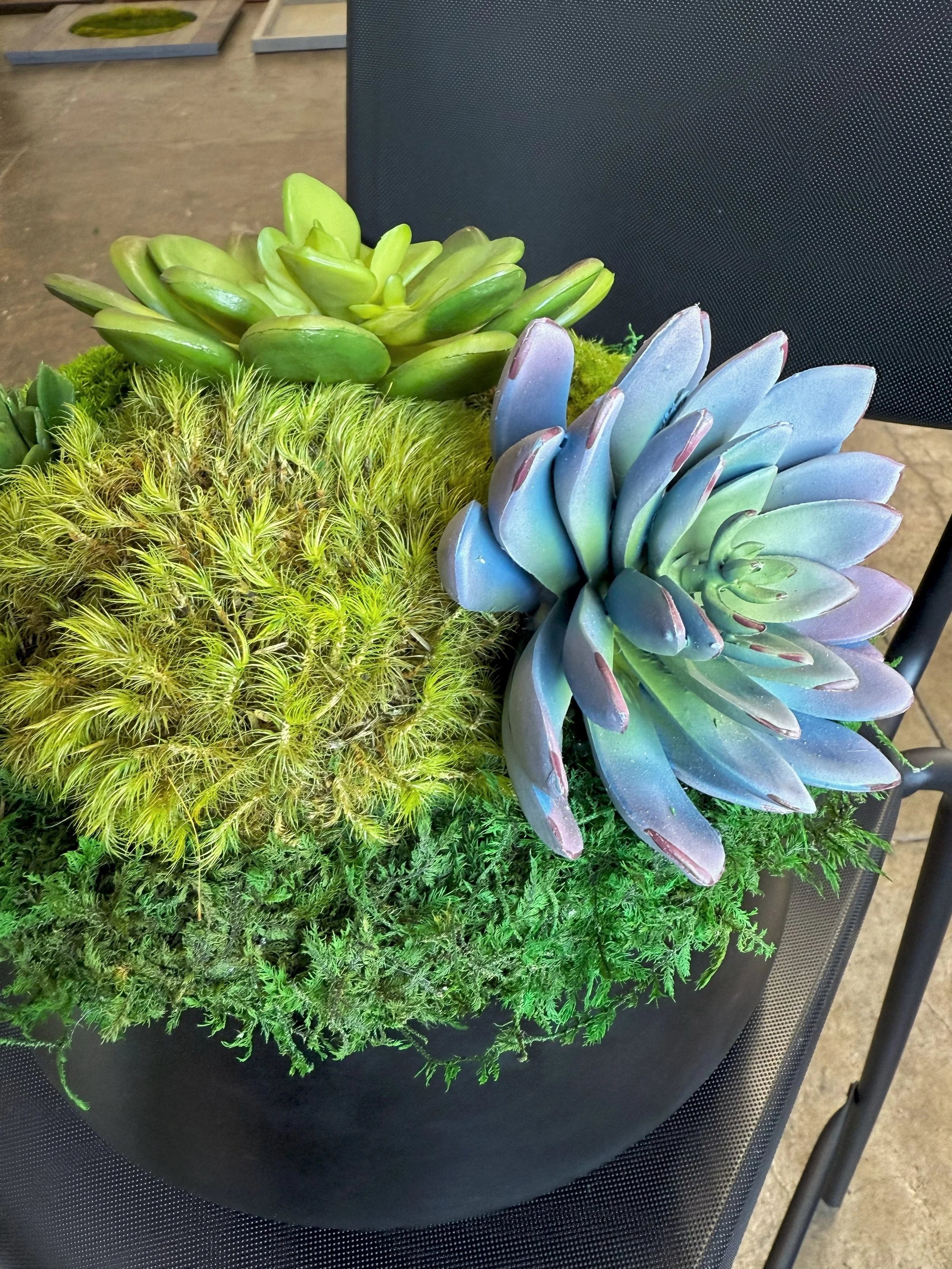 Succulent Pot 1, detail view