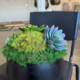 Succulent Pot 1 black planter with mosses and faux succulents