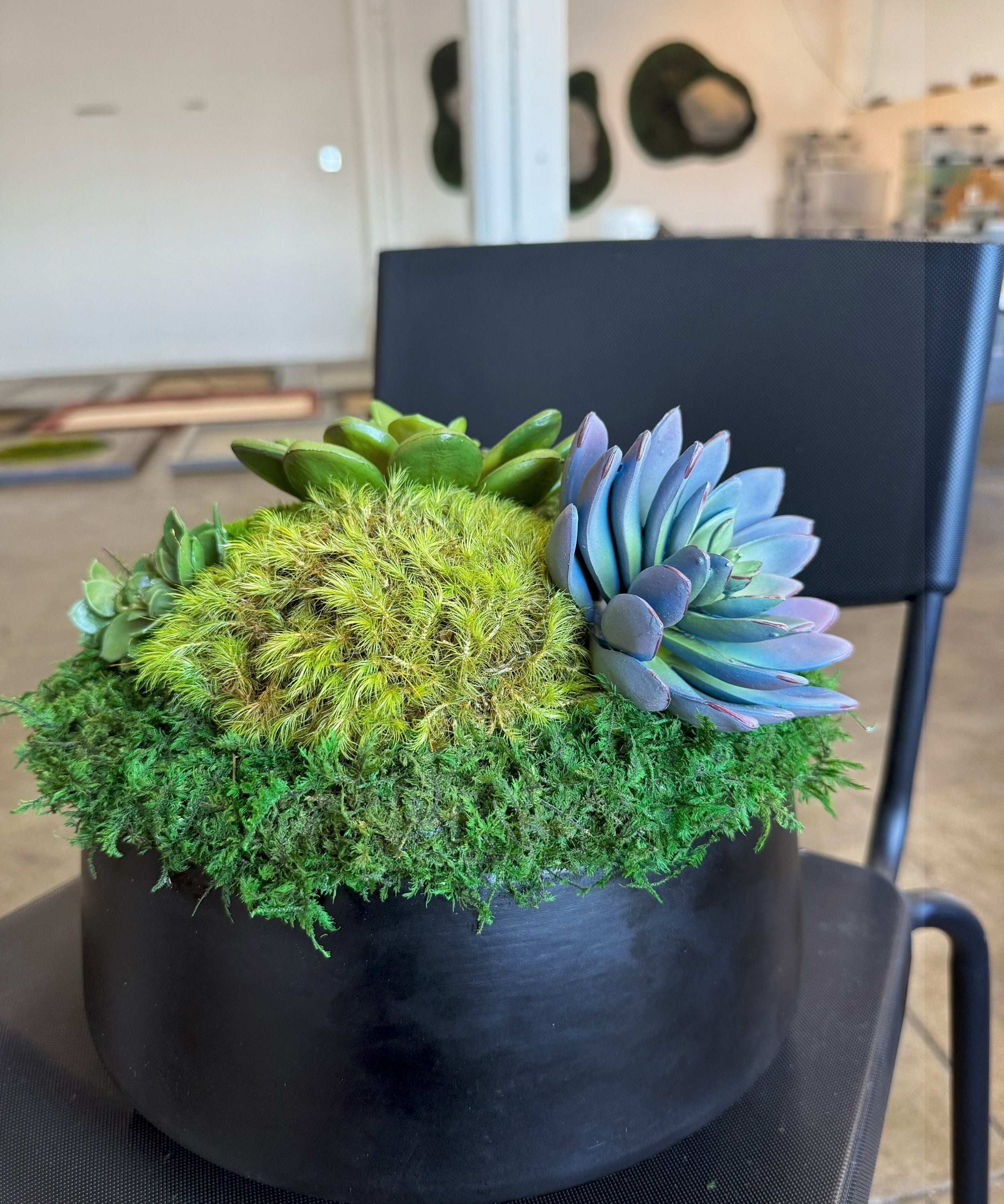 Succulent Pot 1 black planter with mosses and faux succulents