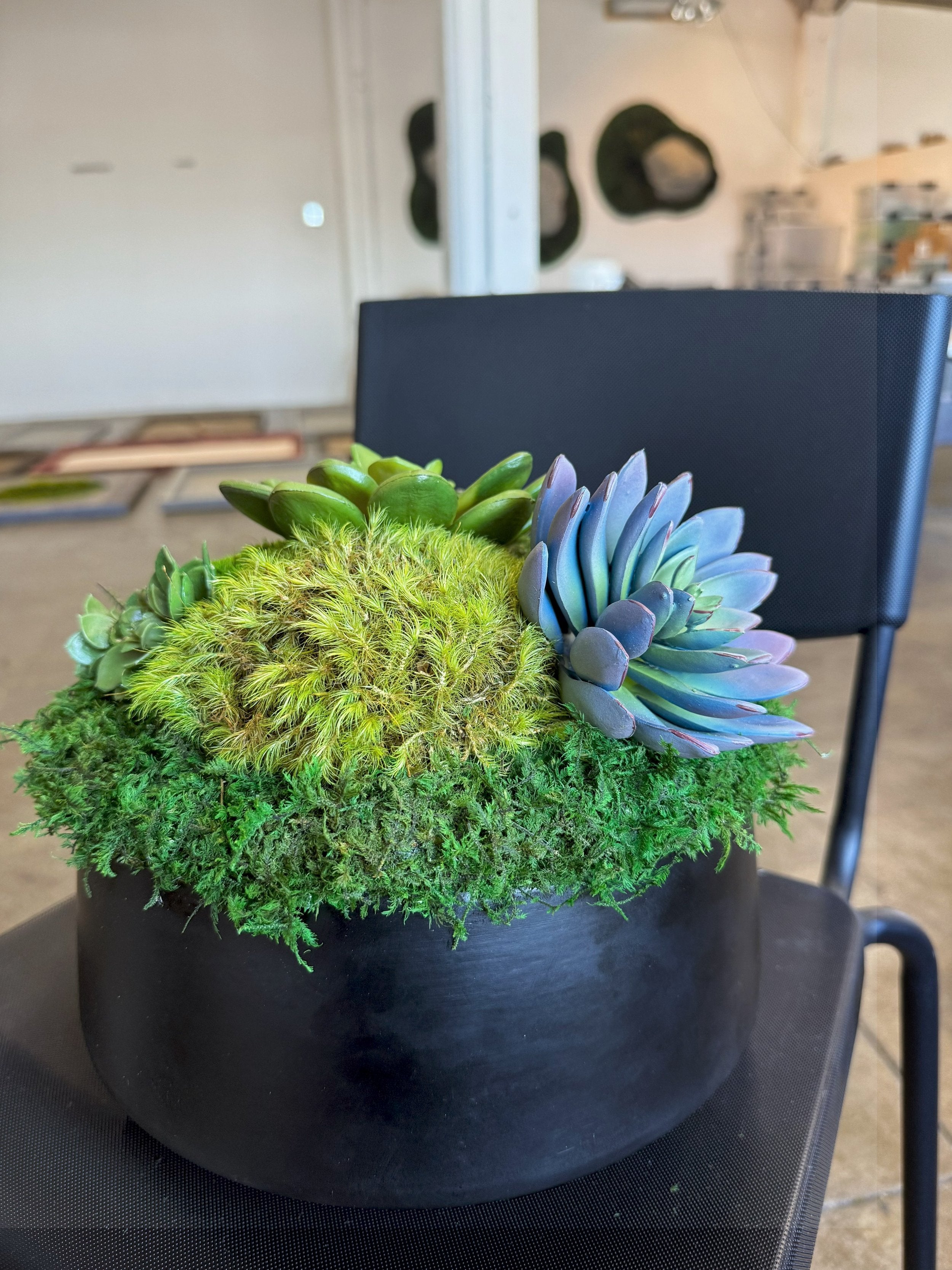 Succulent Pot 1 black planter with mosses and faux succulents