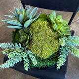 Succulent Pot 2, angled view