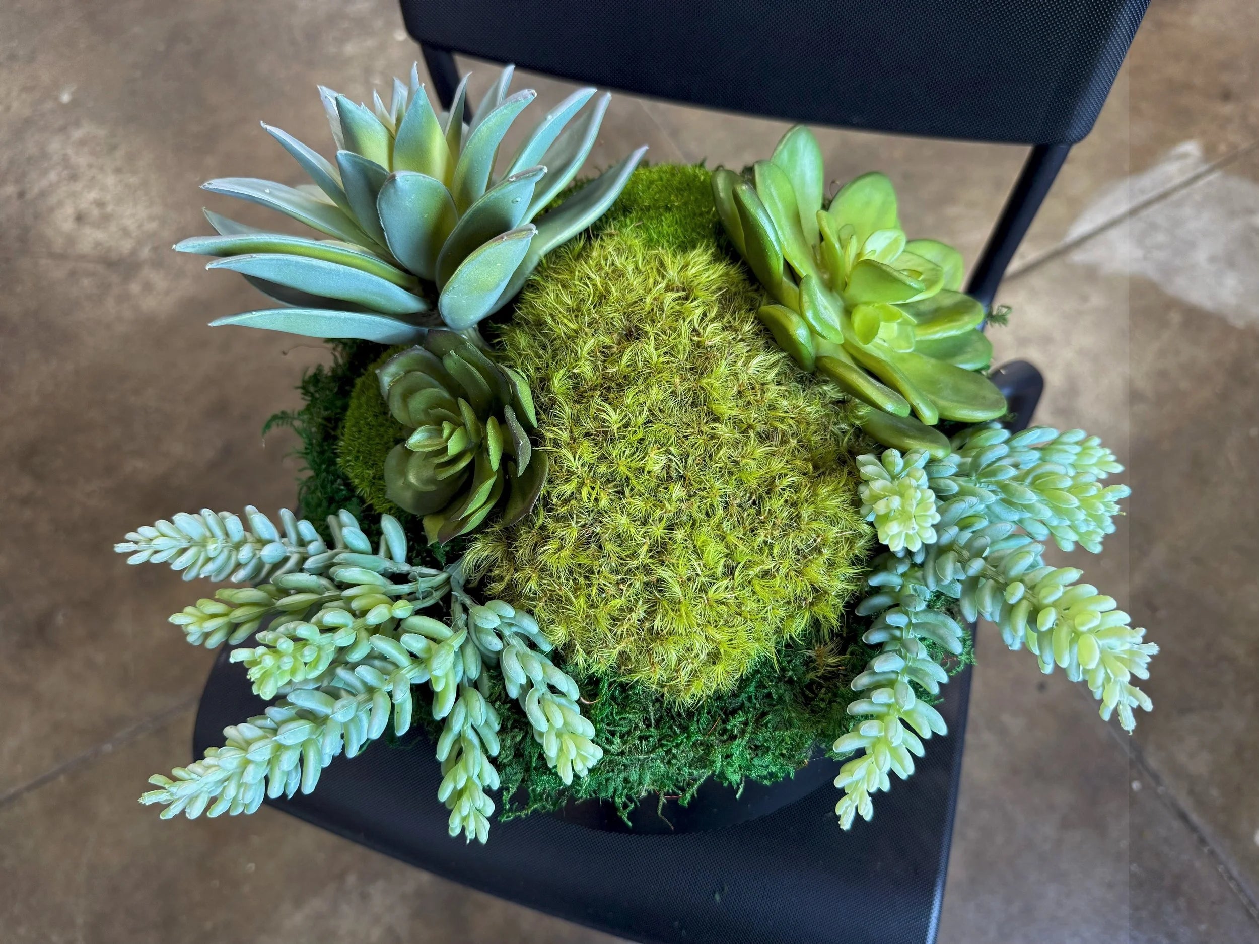 Succulent Pot 2, angled view