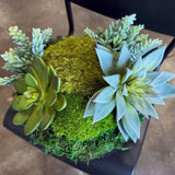 Succulent Pot 2, detail view