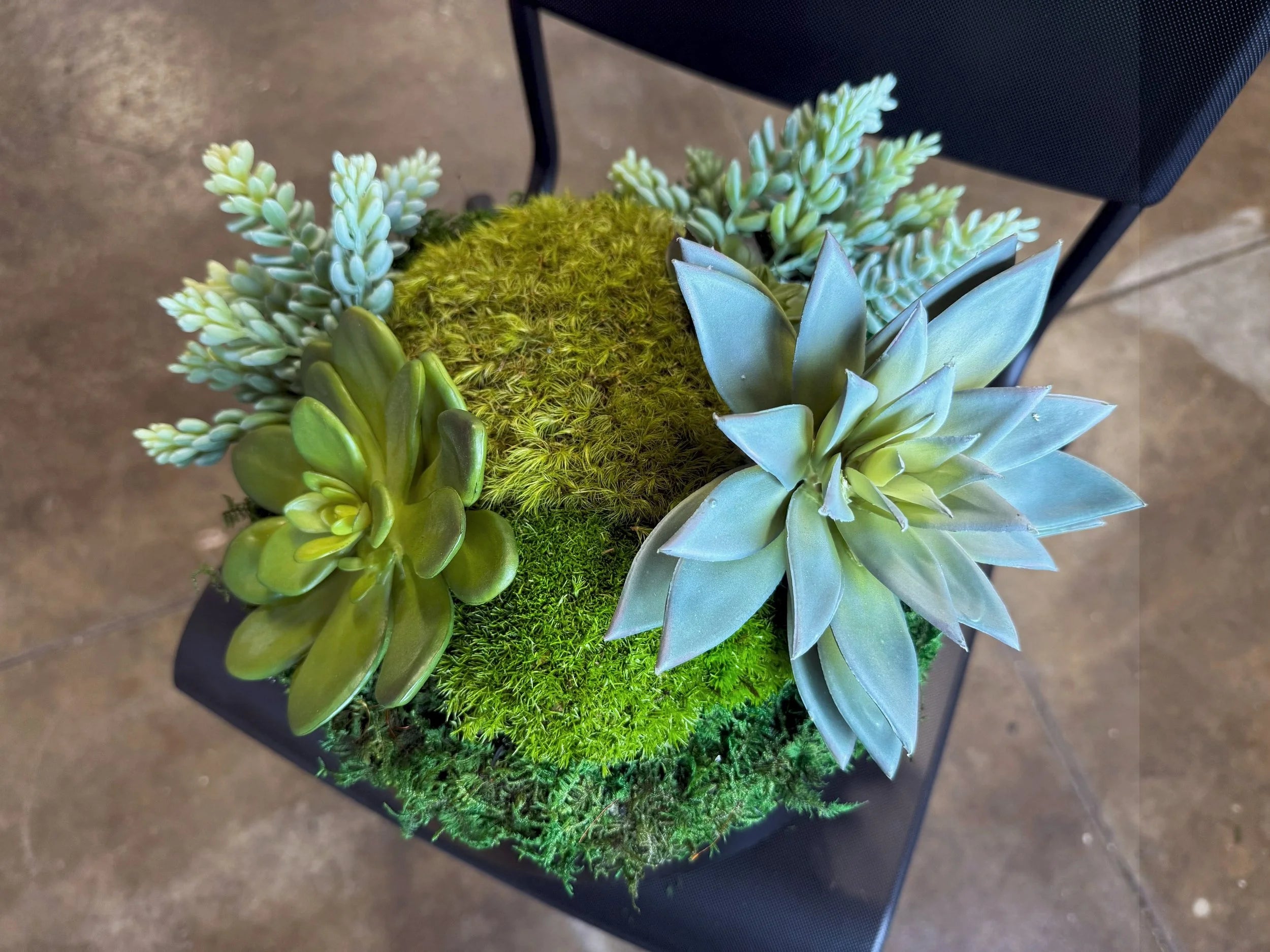 Succulent Pot 2, detail view