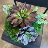 Succulent Pot 3, angled view