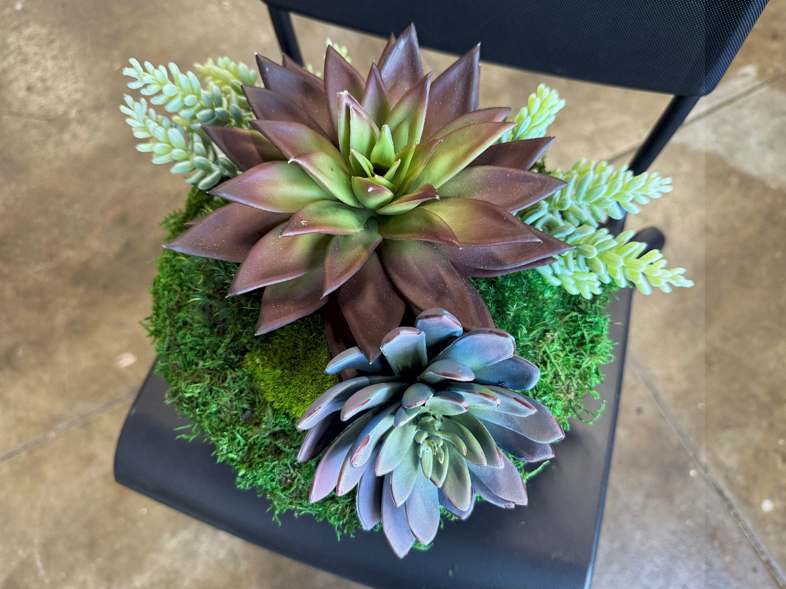 Succulent Pot 3, angled view