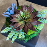 Succulent Pot 3, detail view