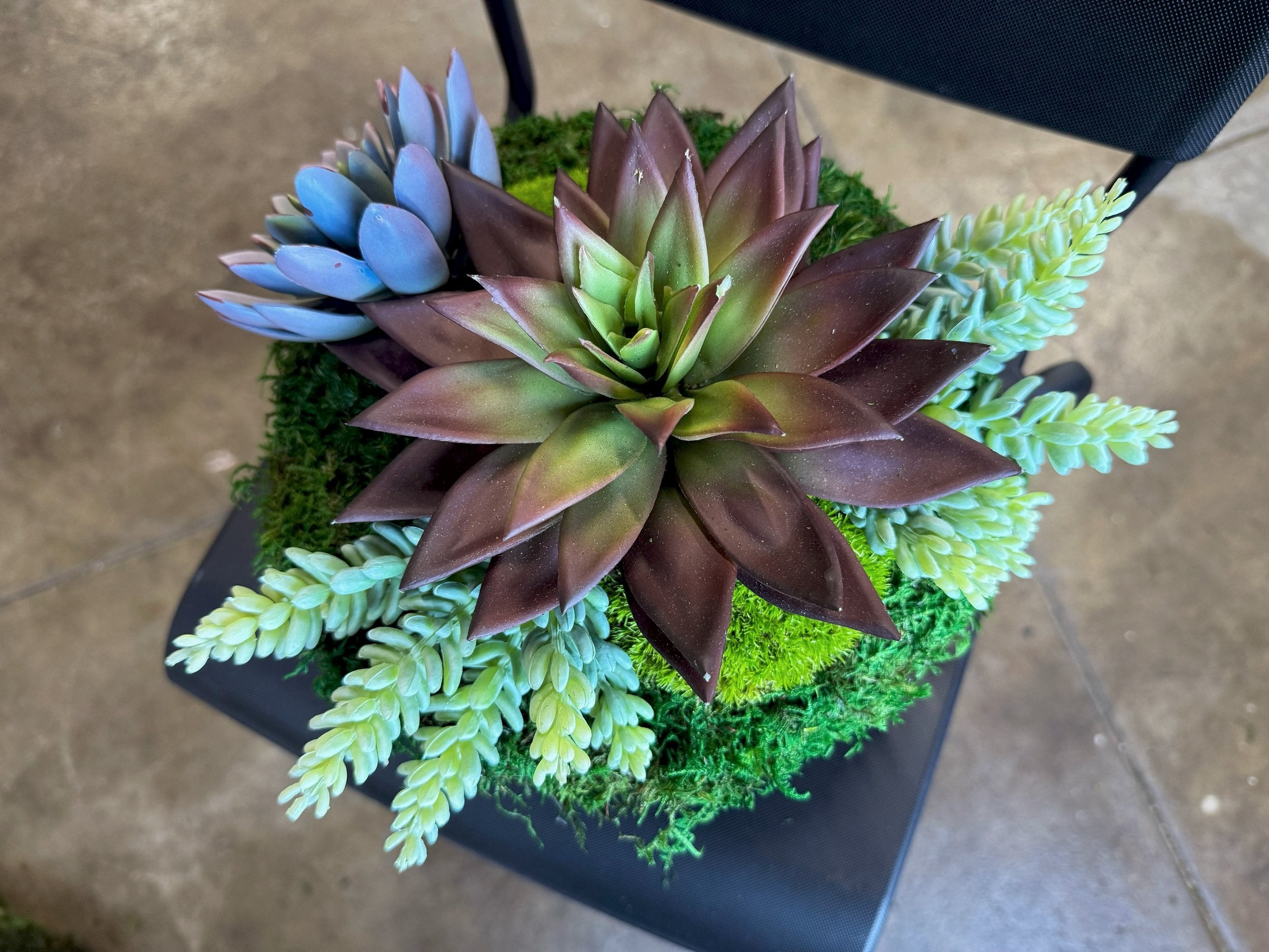 Succulent Pot 3, detail view