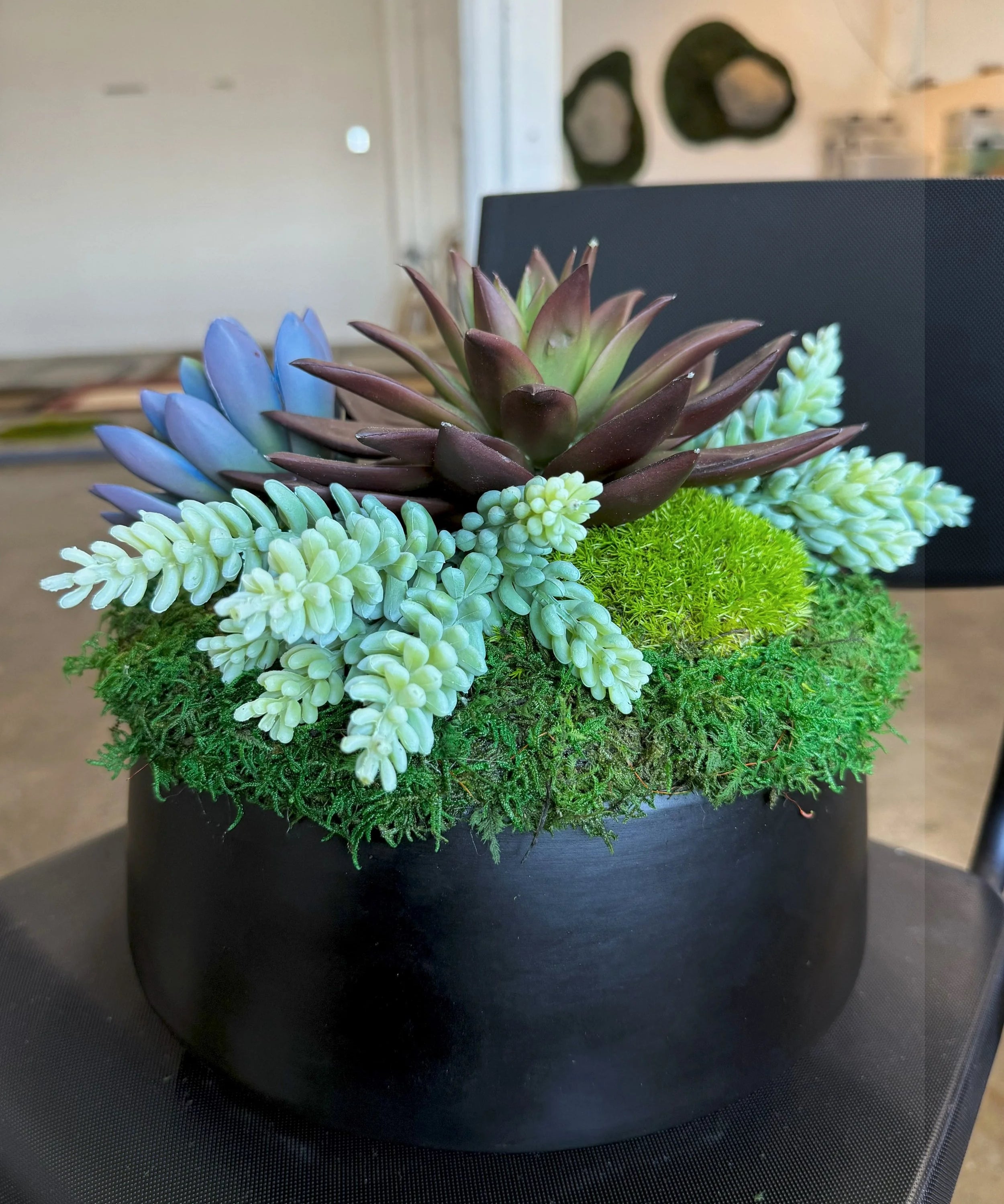Succulent Pot 3 black planter with mosses and faux succulents