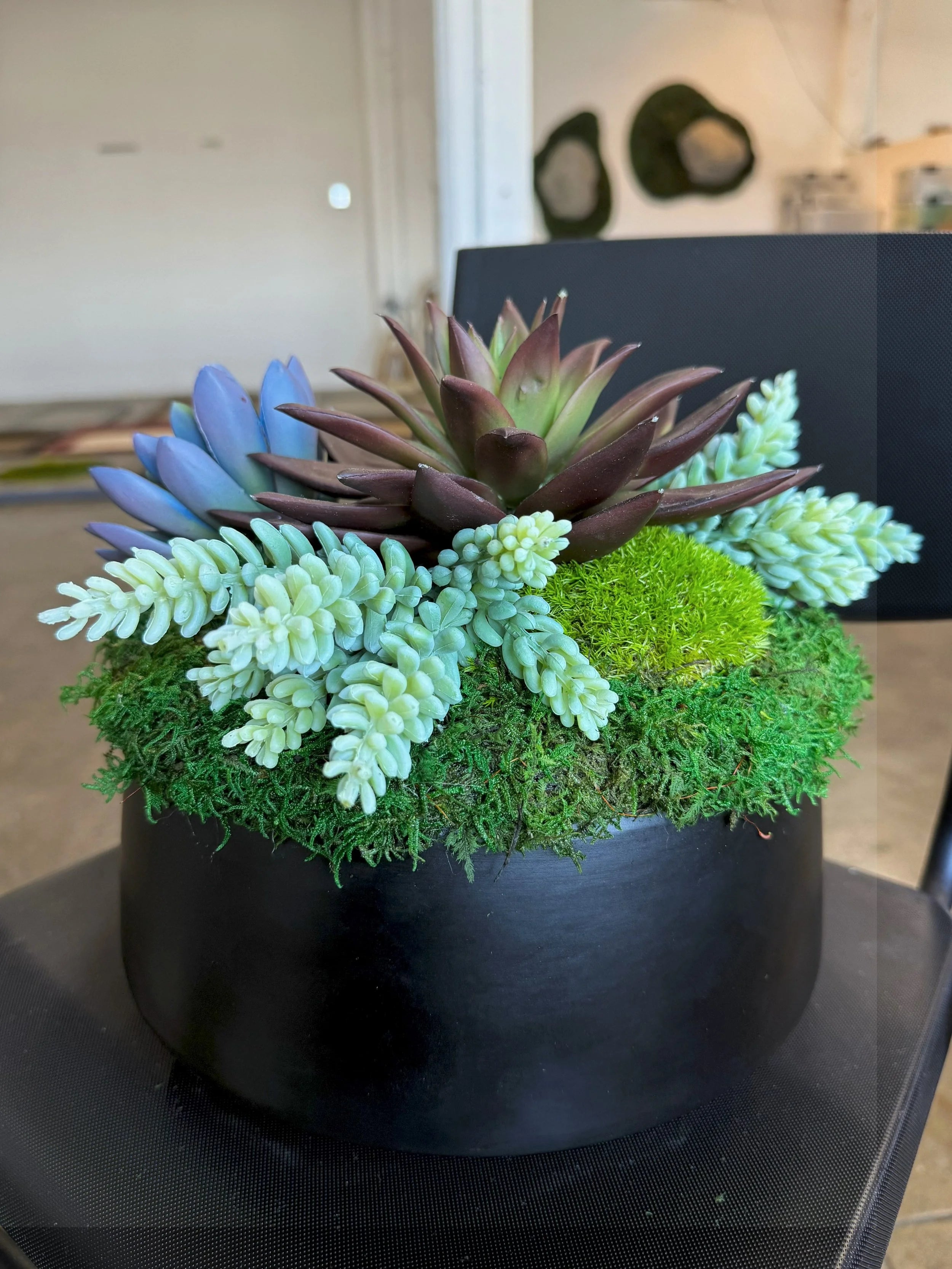 Succulent Pot 3 black planter with mosses and faux succulents