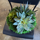 Succulent Pot 4, angled view