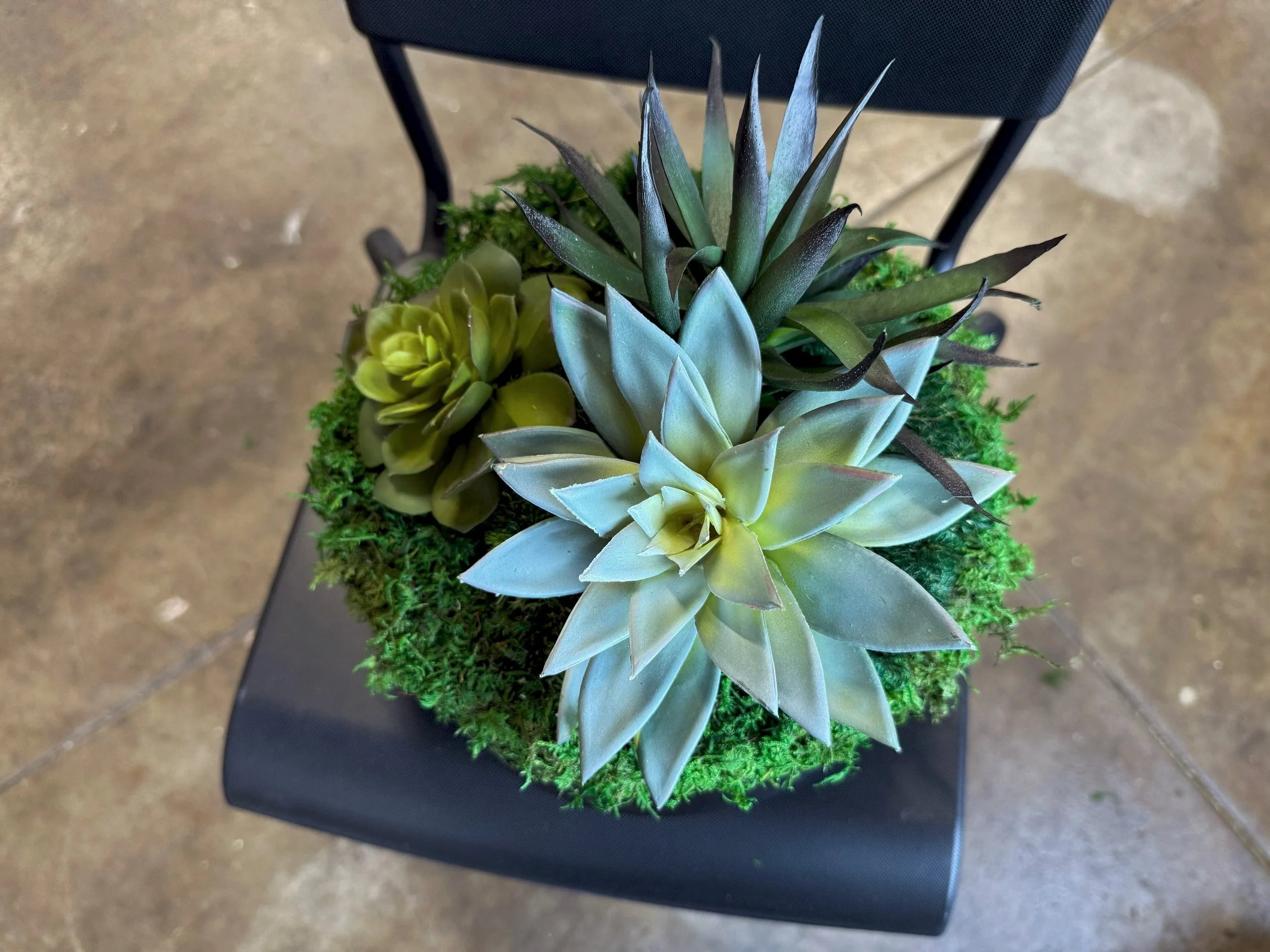Succulent Pot 4, angled view