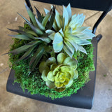 Succulent Pot 4, detail view
