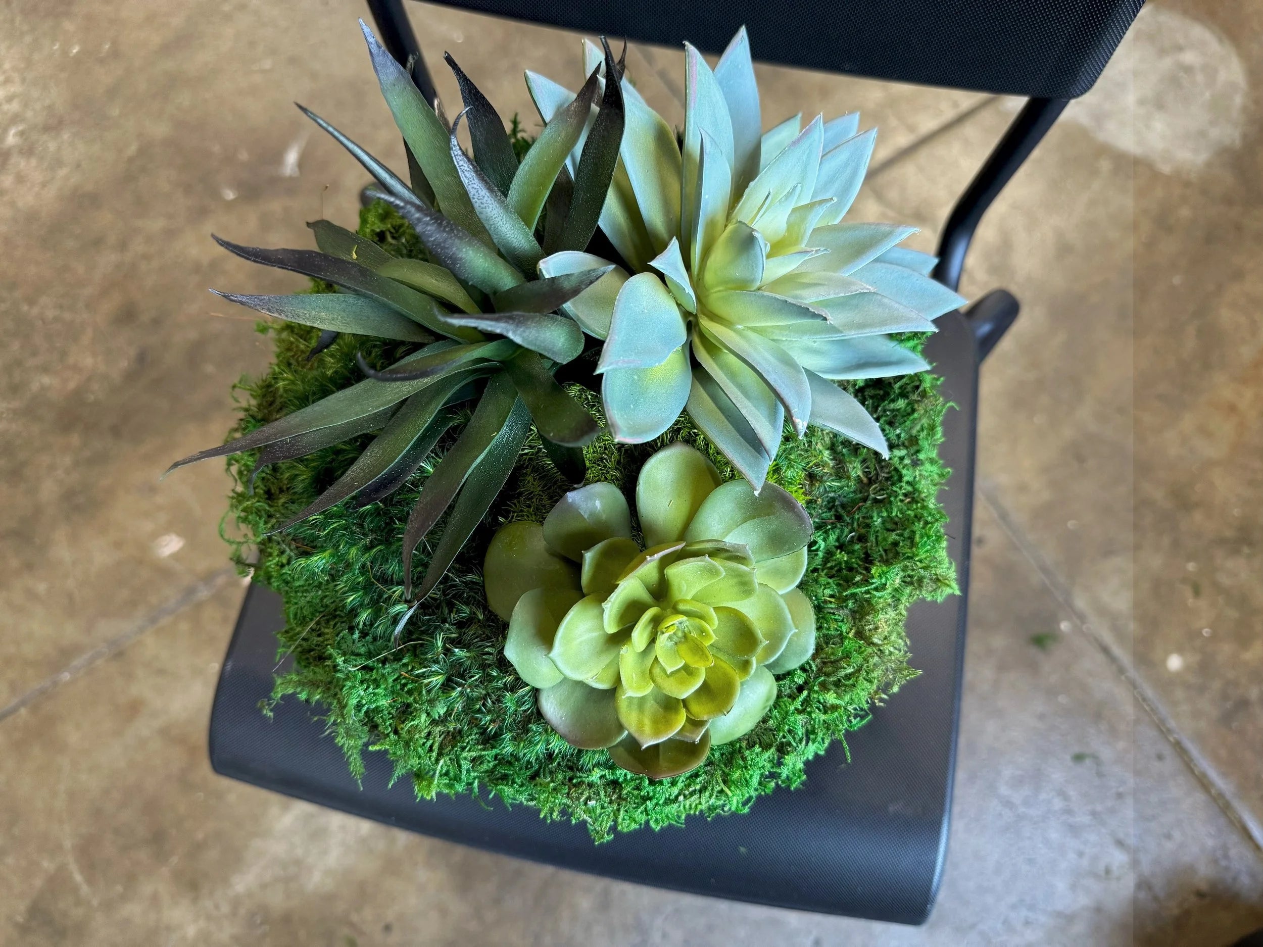 Succulent Pot 4, detail view