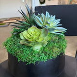 Succulent Pot 4 black planter with mosses and faux succulents